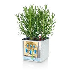 Pflanztopf Cube Color Komplettset 14 cm weiß ^ Discount