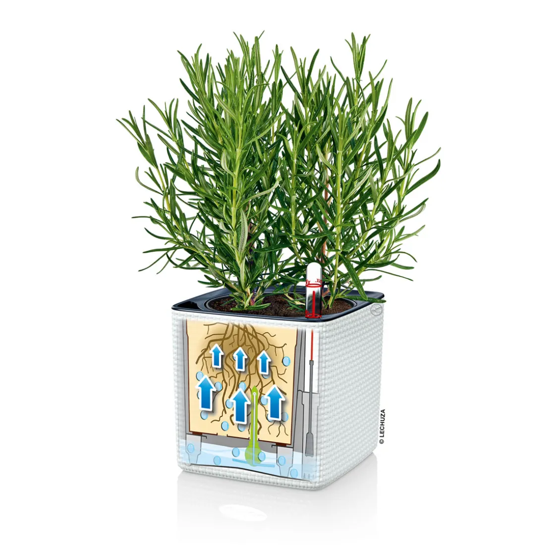 Pflanztopf Cube Color Komplettset 14 cm weiß ^ Discount