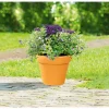 Pflanztopf Vaso Standard 15 cm ^ Online