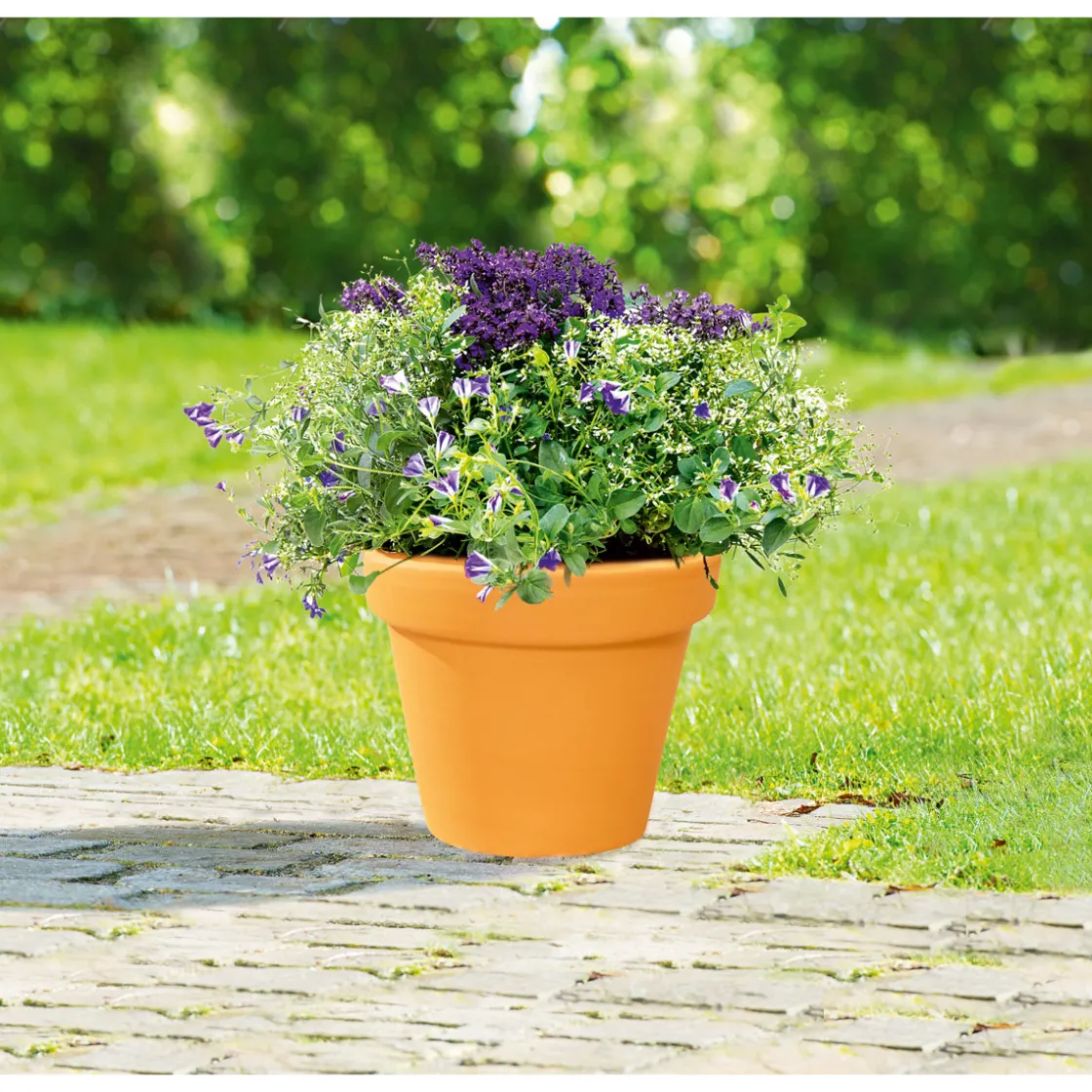 Pflanztopf Vaso Standard 15 cm ^ Online