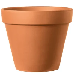 Pflanztopf Vaso Standard 15 cm ^ Online