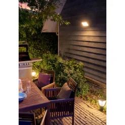 LED-Außenwandleuchte Discover schwarz ^ Philips Hue Discount