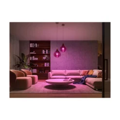 Starter-Set White und Color Ambiance 2 x LED-Lampe E27 Bridge Dimmschalter Smart Plug ^ Philips Hue Hot