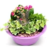 Bepflanzte Gefäße mit Oster-Deko ^ Plantiflor