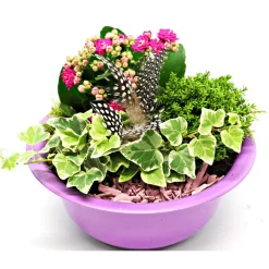 Bepflanzte Gefäße mit Oster-Deko ^ Plantiflor