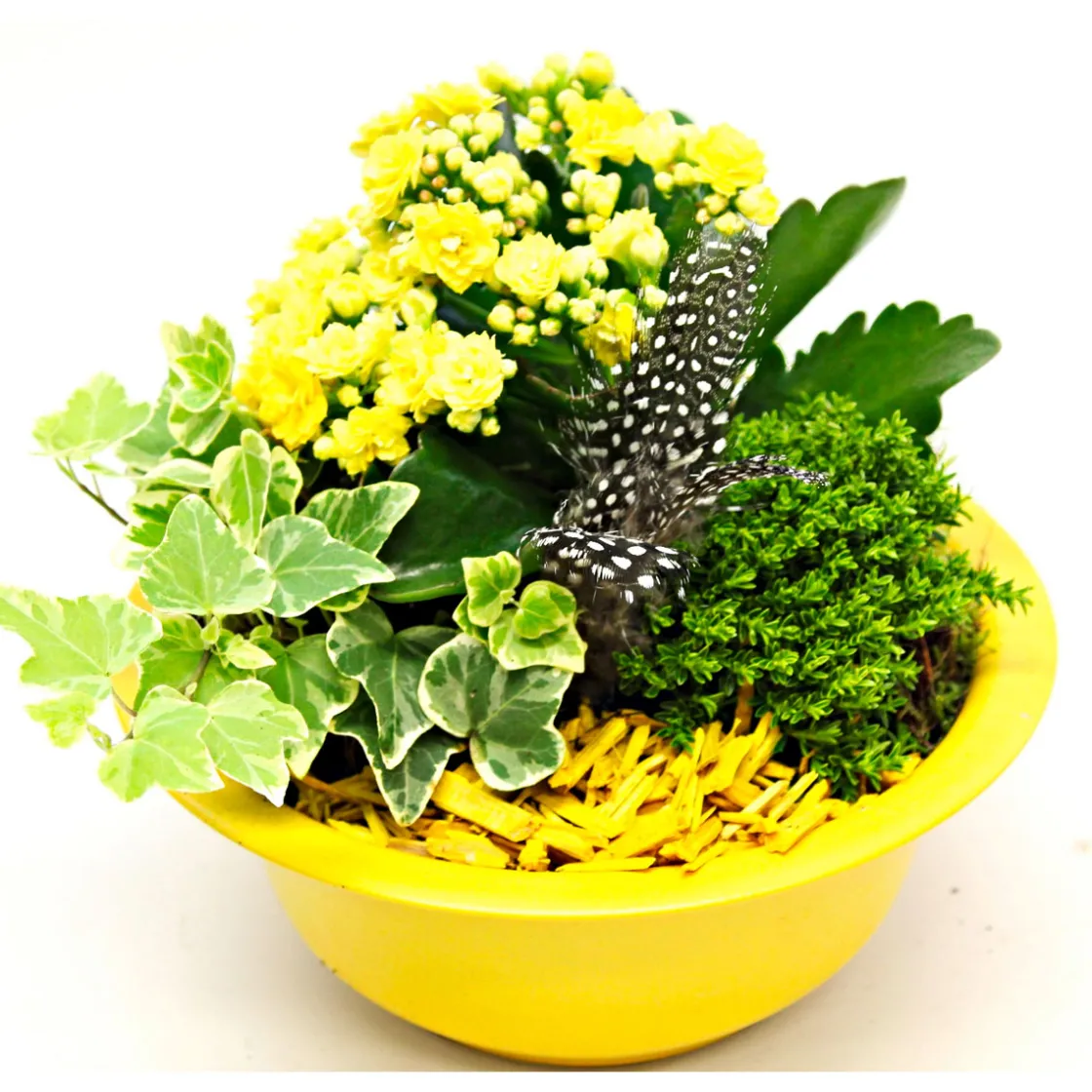 Bepflanzte Gefäße mit Oster-Deko ^ Plantiflor