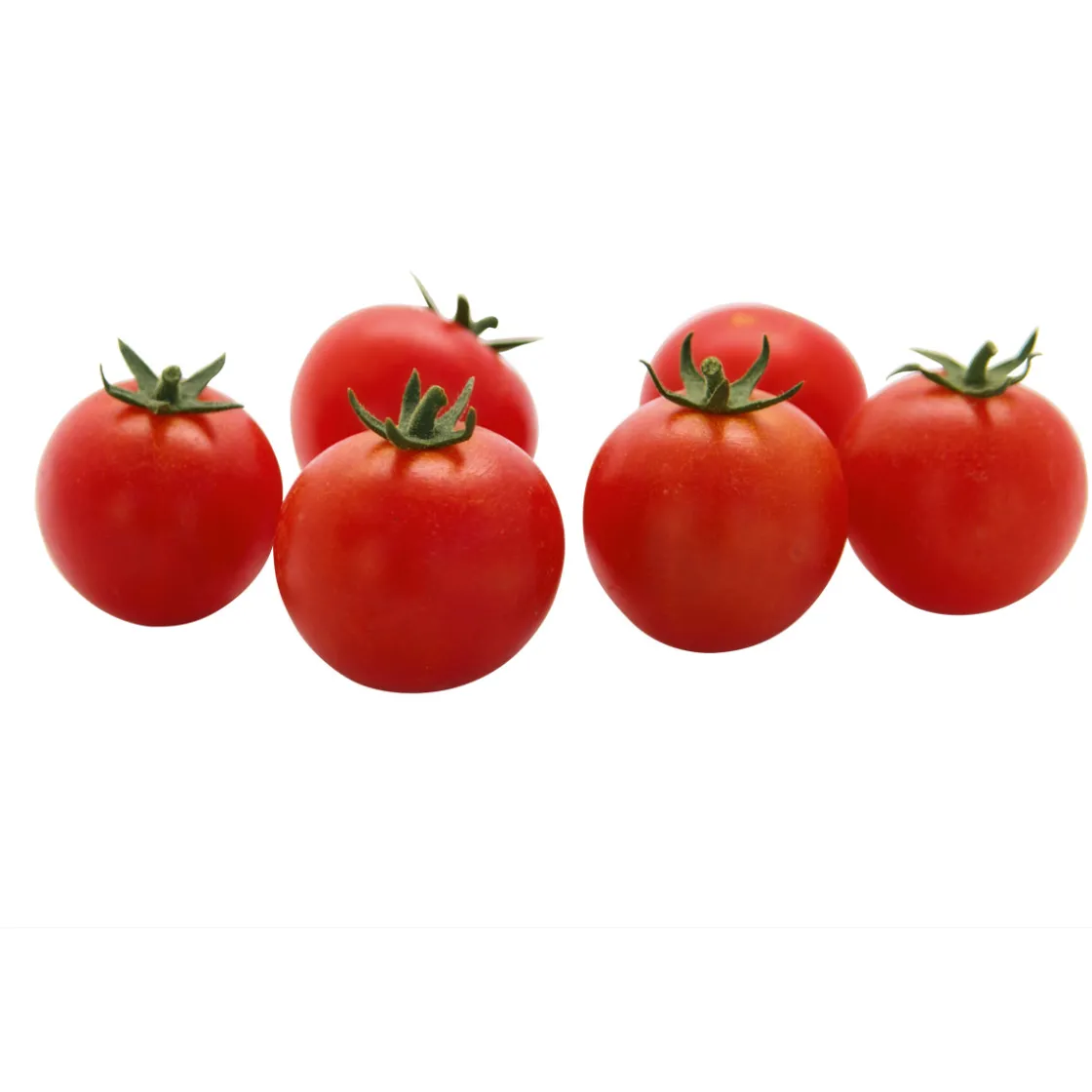 Veredelte Salattomate Topf Durchmesser 12 cm ^ Plantiflor Outlet