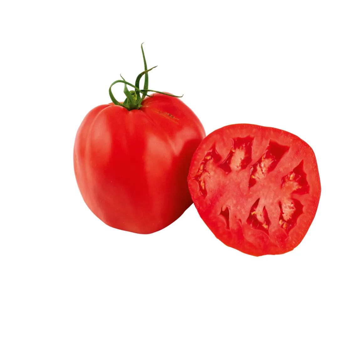 Veredelte Salattomate Topf Durchmesser 12 cm ^ Plantiflor Outlet