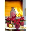 Weihnachtsstern Mini ^ Plantiflor Sale