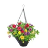 Zauberglöckchen Ampel mehrfarbig Topf Durchmesser 25 cm ^ Plantiflor Best