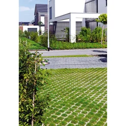 Rasengitter 60x40x8 cm grau mit Fase ^ Lusit Outlet