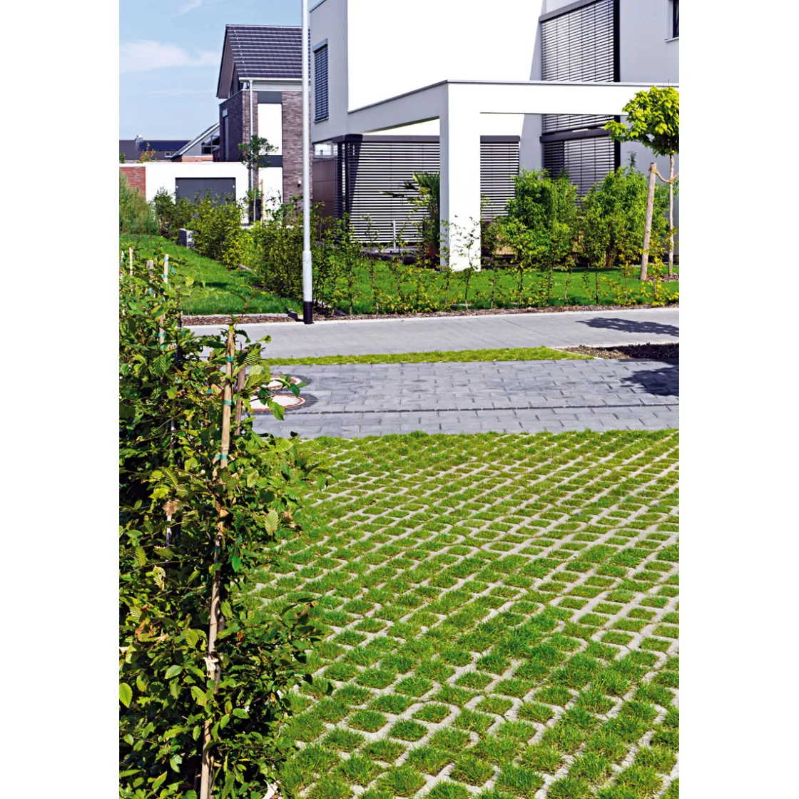 Rasengitter 60x40x8 cm grau mit Fase ^ Lusit Outlet