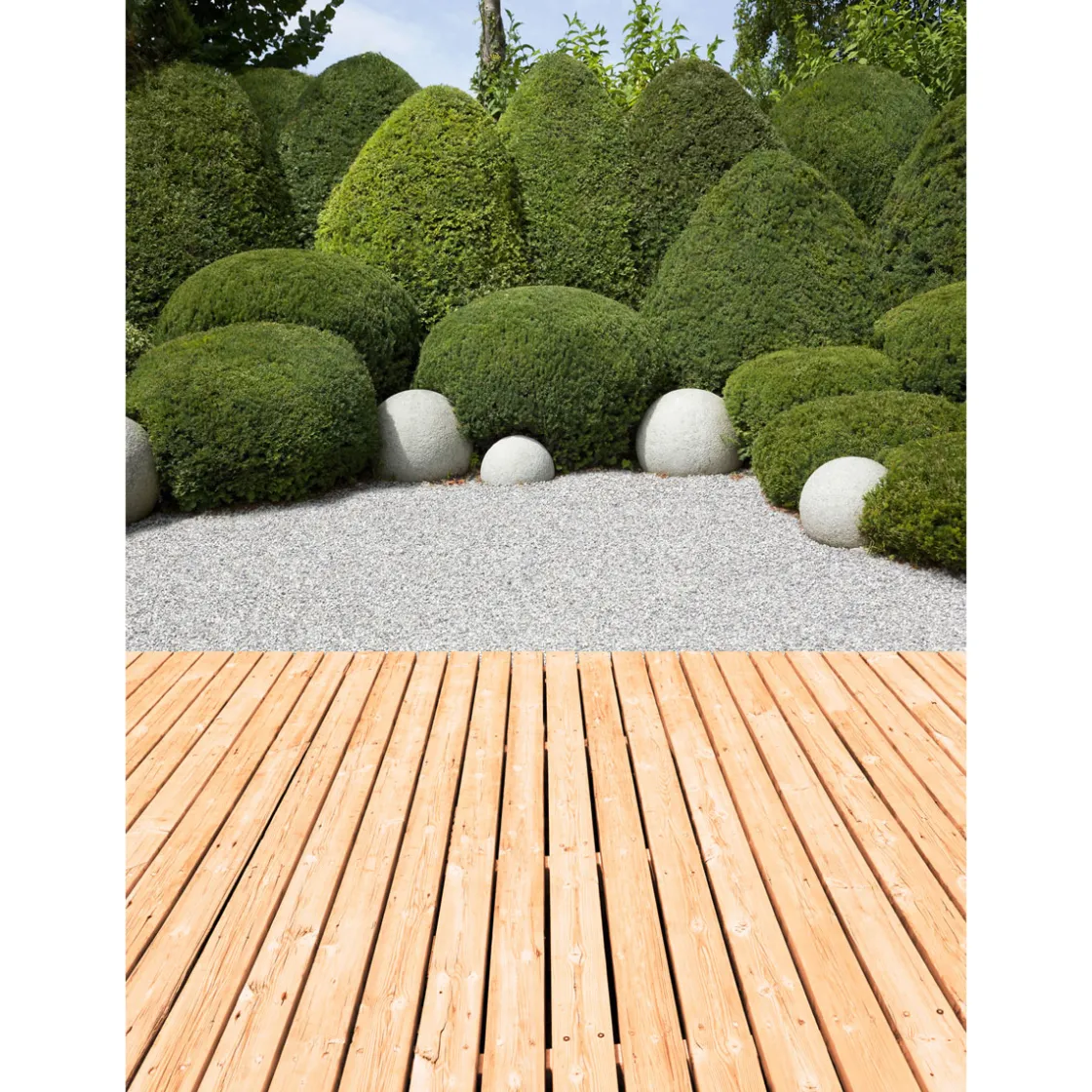 Terrassendiele Douglasie 400 x 12 x 2,8 cm ^ Rettenmeier Clearance