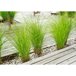 Terrassendiele Kiefer grau 200 x 12 x 2,1 cm ^ Rettenmeier Sale