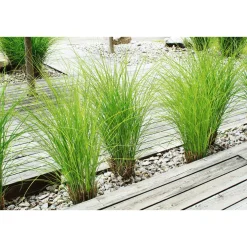 Terrassendiele grau 300 x 12 x 2,1 cm ^ Rettenmeier New