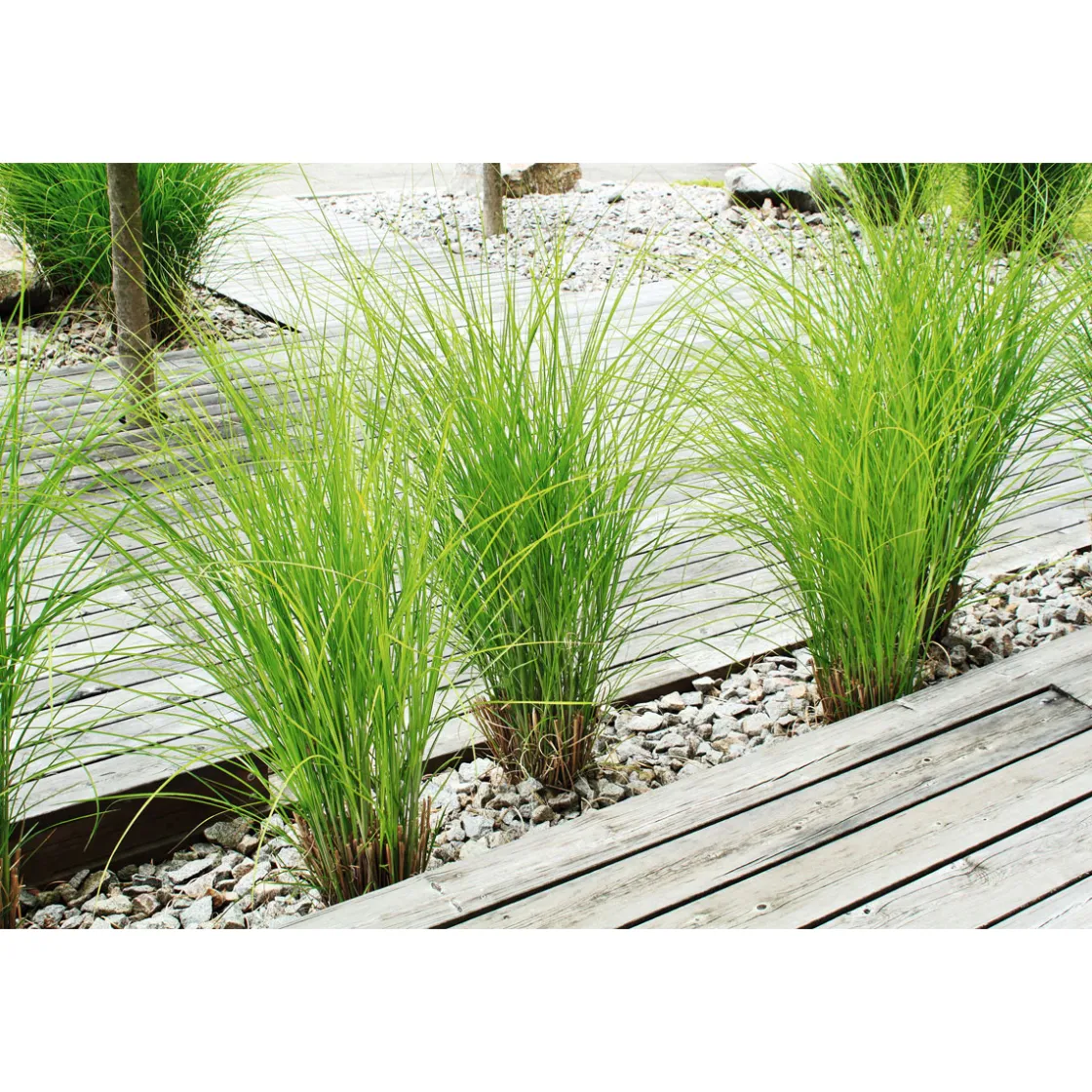 Terrassendiele grau 300 x 12 x 2,1 cm ^ Rettenmeier New