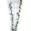 Rosenspalier 150 x 75 cm ^ Outlet
