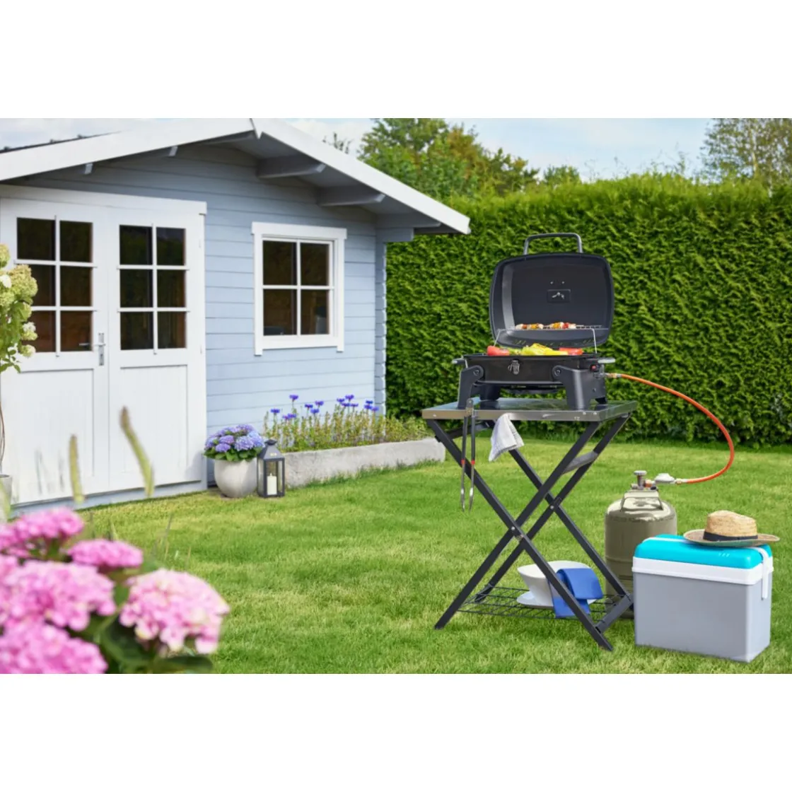Gasgrill Phoenix ^ Rothmann Sale