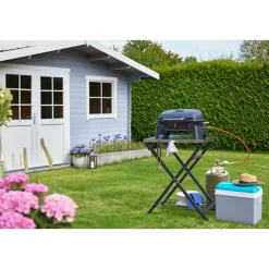 Gasgrill Phoenix ^ Rothmann Sale