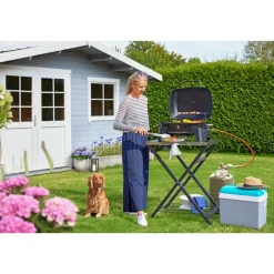 Gasgrill Phoenix ^ Rothmann Sale