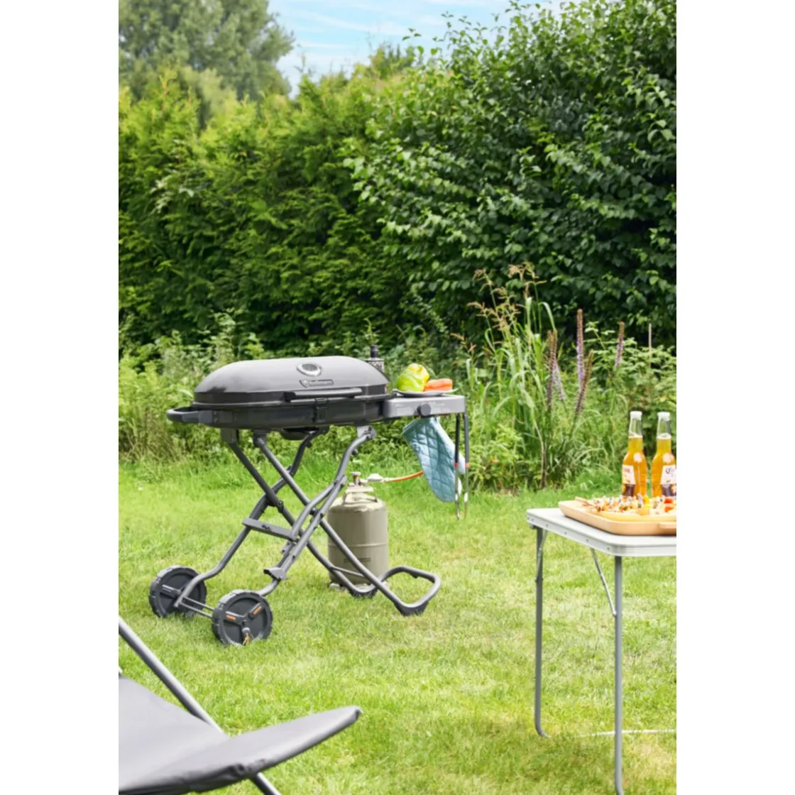 Gasgrillwagen Go ^ Rothmann Sale