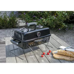 Holzkohlegrill Springfield 43,3 x 30 x 30,5 cm schwarz ^ Rothmann Online