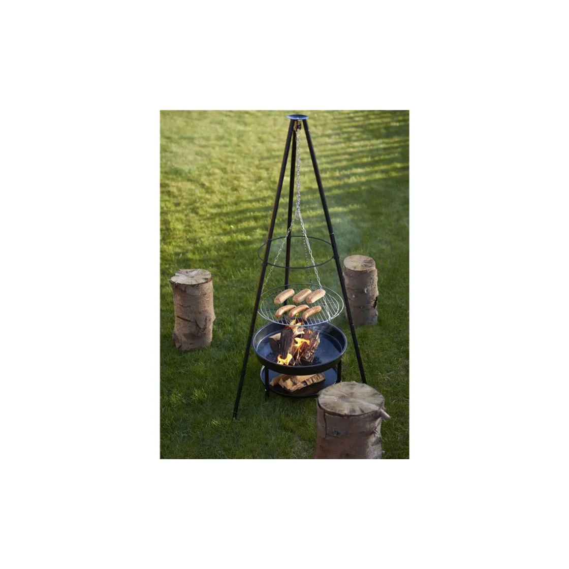 Schwenkgrill Holzkohlegrill Columbia ^ Rothmann Hot