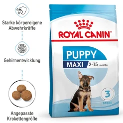 Trockenfutter Maxi Junior 4 kg ^ Royal Canin Clearance