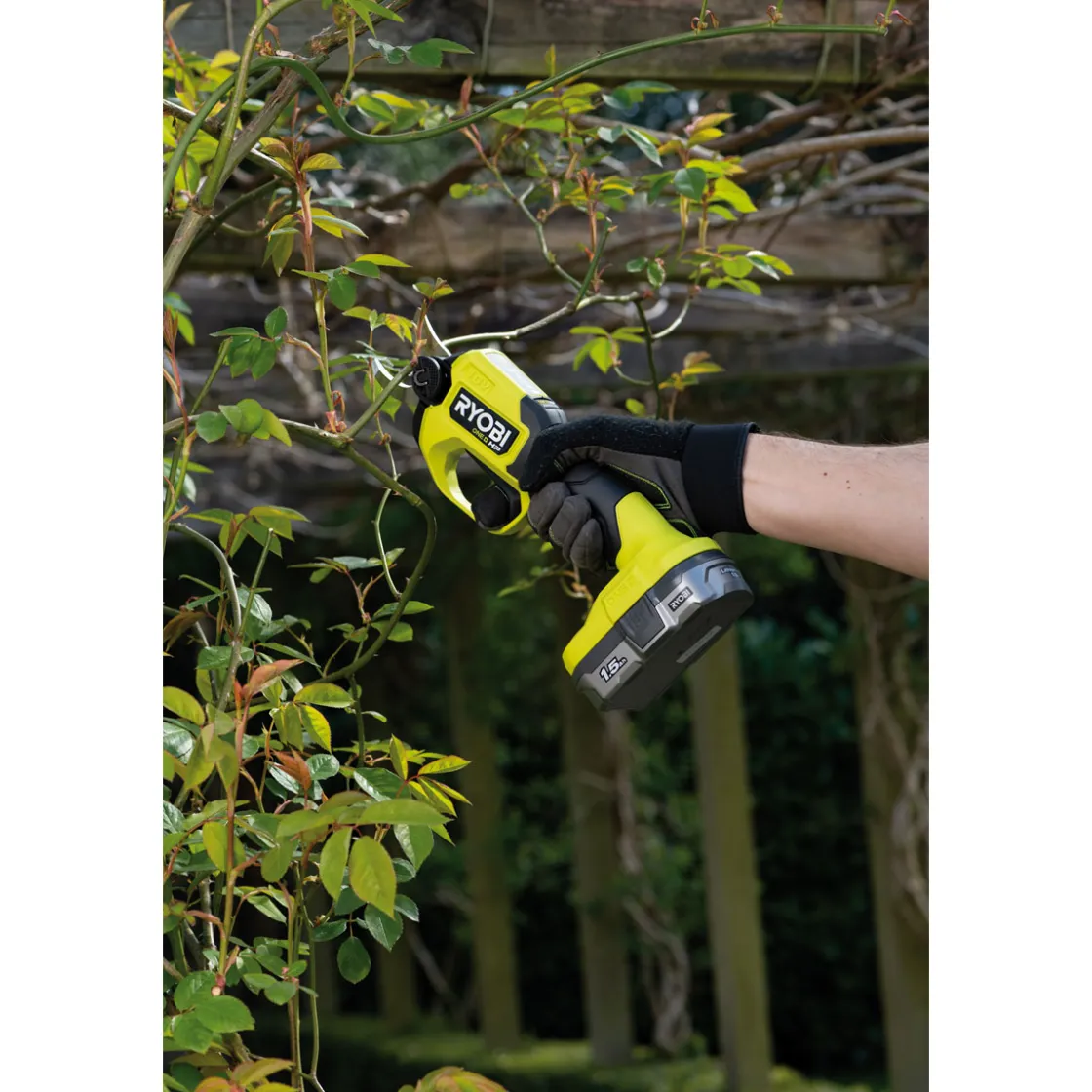18V Akku-Gartenschere RY18SCXA-0 Max Schnittleistung 28 mm solo ^ Ryobi Sale
