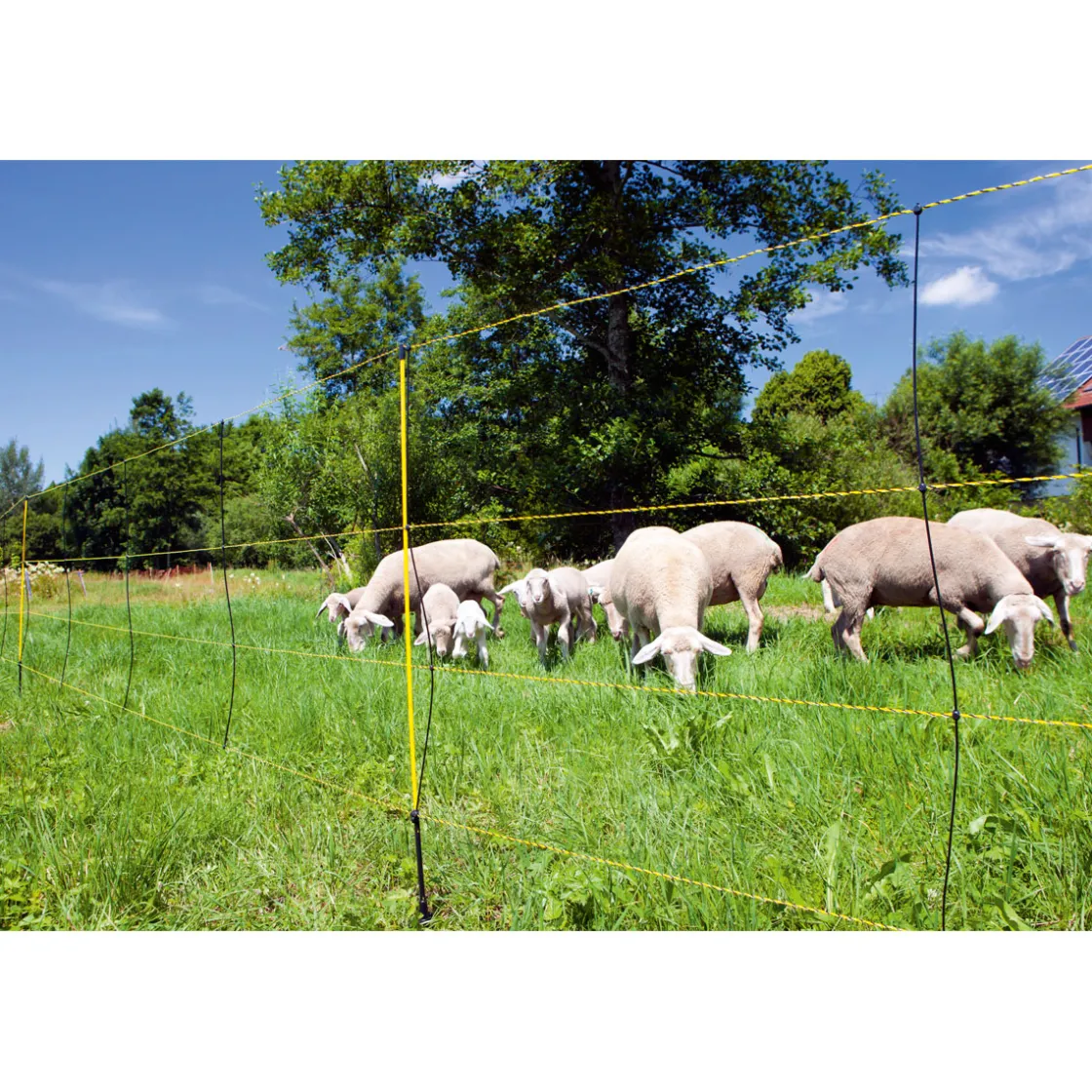 Schafnetz EasyNet 105 cm 50 m gelb-schwarz 15 Stück ^ Hot