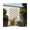 Scherenspalier ^ Outlet