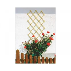 Scherenspalier ^ Outlet