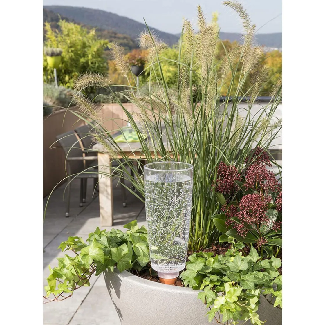 Bewaesserungsglas Copa 9 x 18 cm ^ Scheurich Discount