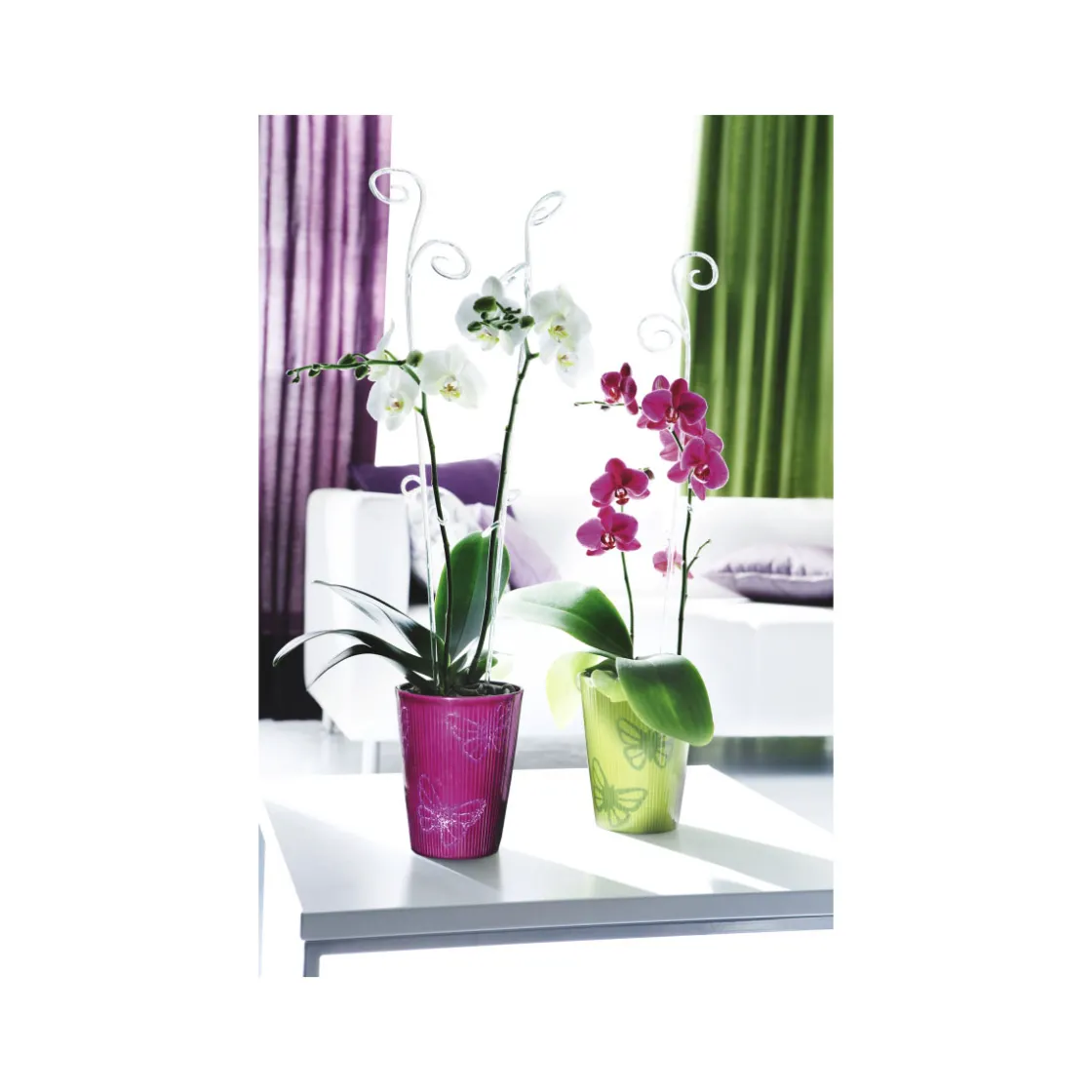 Orchideenstab ^ Scheurich Sale