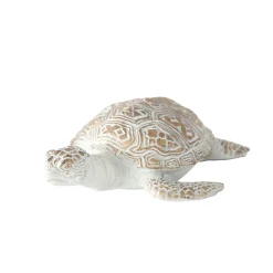 Schildkroete Quila cm 2 Sorten ^