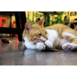 Schmusekissen Classic mit Baldiran versch Farben ^ Online