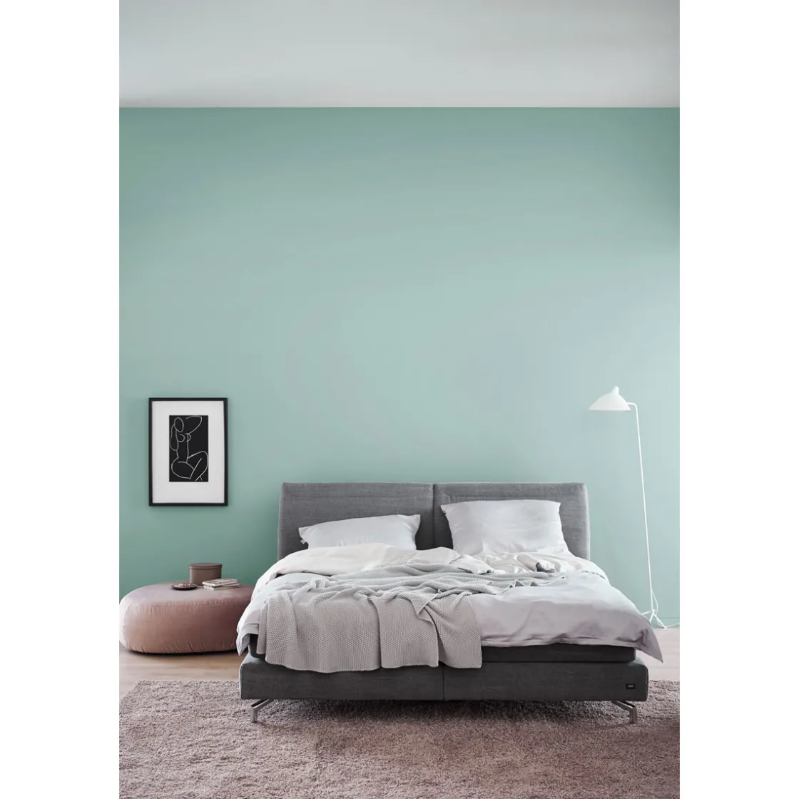 Trendfarbe Maui Matt 2,5 L ^ Schöner Wohnen Farbe Discount
