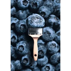 Trendfarbe Blueberry L ^ Schöner Wohnen Farbe New