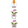 Spezial-Substrat für Orchideen 7 L ^ Seramis Discount