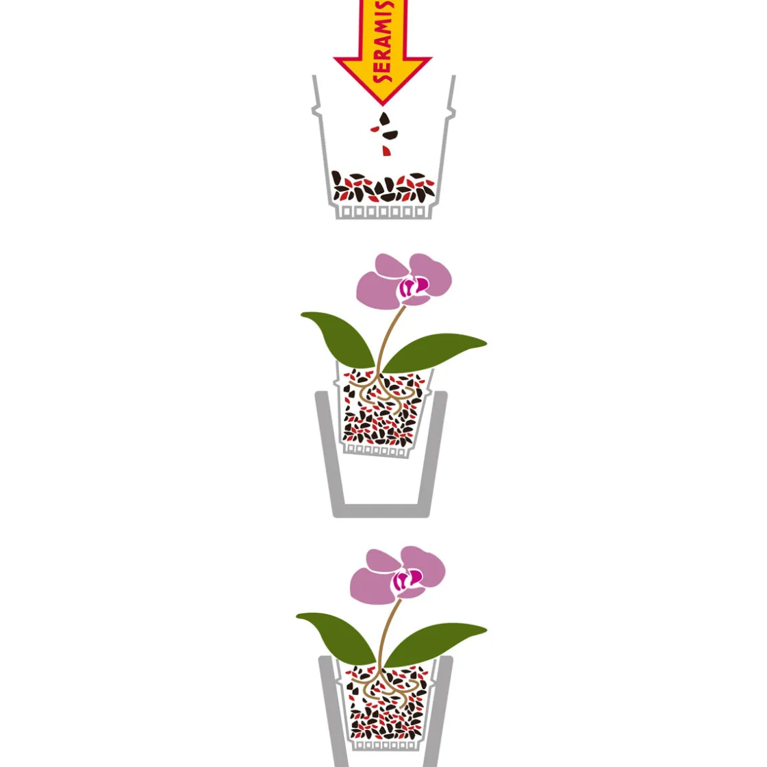 Spezial-Substrat Orchideen 2,5 L ^ Seramis Best