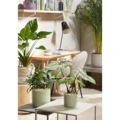 Topper Limestone 1 L ^ Seramis Discount