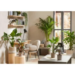 Topper Limestone 1 L ^ Seramis Discount