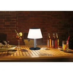 Solar TL Lillesol 3-Step dim EdelstahlIP44 3000K 100lm ^ Paulmann Outlet