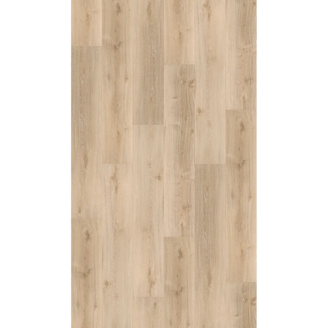 SPC Vinyl Basic Eiche Royal hell gekaelk1209x225x5,3 mm geb. Stuktur LHD gefast ^ Parador Clearance