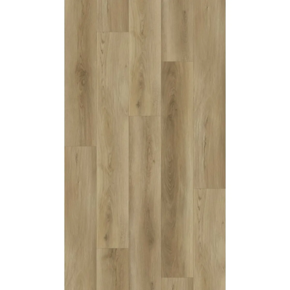 SPC Vinyl Classic Waldeiche 1220x181x3,8 mm ^ Best