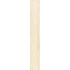 Ambiente Paneel 10mm Birke hell ^ Specht Sale