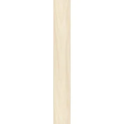 Ambiente Paneel 10mm Birke hell ^ Specht Outlet