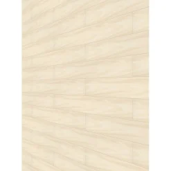 Ambiente Paneel 10mm Birke hell ^ Specht Outlet