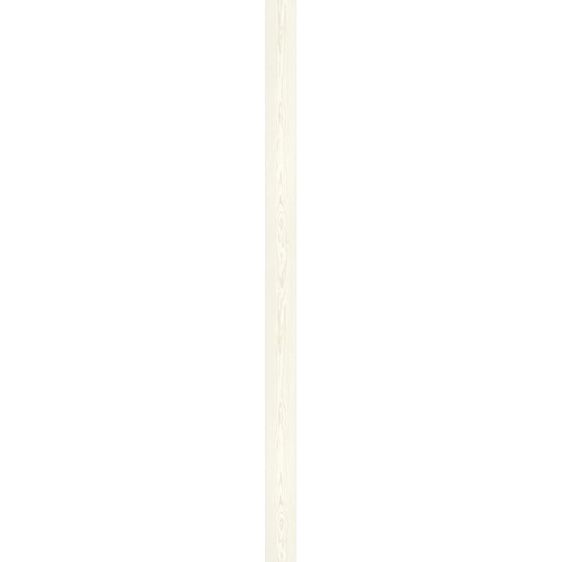 Ambiente Paneel 10mm Pinie weiß ^ Specht Sale