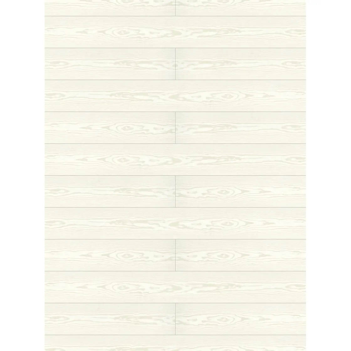 Ambiente Paneel 10mm Pinie weiß ^ Specht Sale